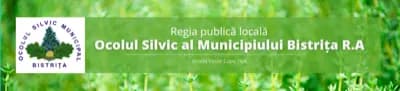 Ocol Silvic